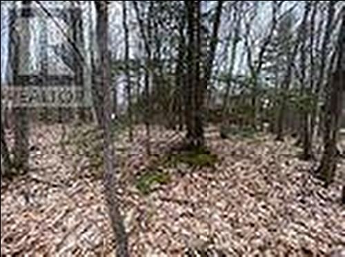 Lot 705 Wolfe Trail, Tiny, ON 