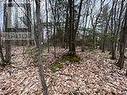 Lot 705 Wolfe Trail, Tiny, ON 