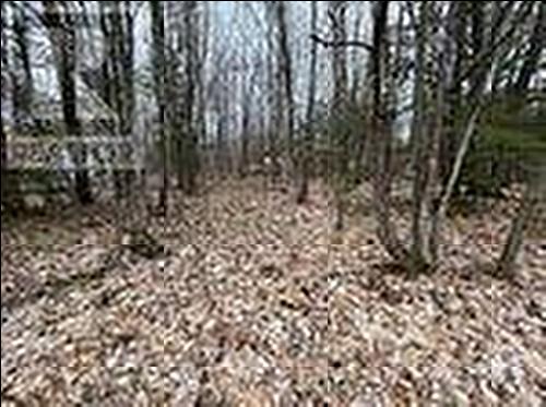 Lot 705 Wolfe Trail, Tiny, ON 