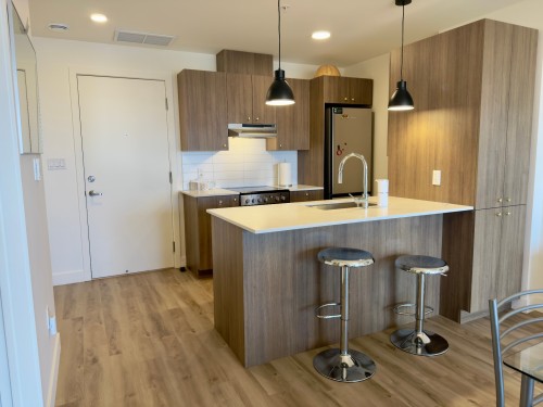 Cuisine - 810-71 Route 132, Delson, QC - Indoor Photo Showing Kitchen With Upgraded Kitchen