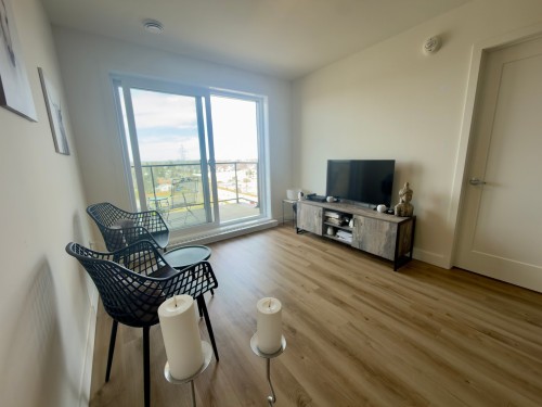Salon - 810-71 Route 132, Delson, QC - Indoor Photo Showing Living Room
