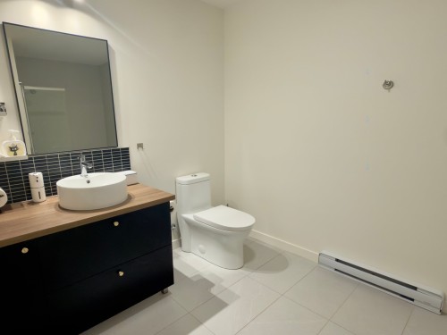 Salle de bains - 810-71 Route 132, Delson, QC - Indoor Photo Showing Bathroom