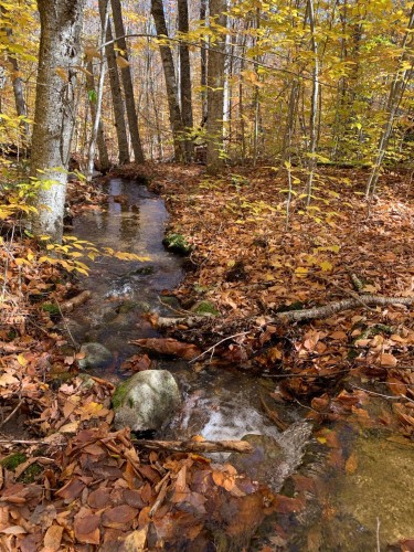 Lot - Ch. Burns, Harrington, QC 