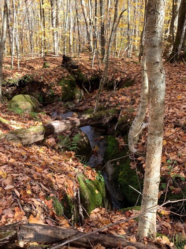 Lot - Ch. Burns, Harrington, QC 