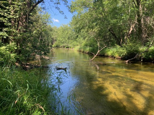 Waterfront - Ch. Burns, Harrington, QC 