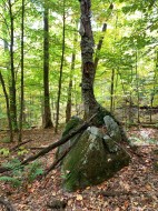 Terre/Terrain - 