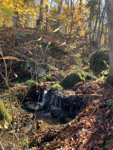 Lot - Ch. Burns, Harrington, QC 