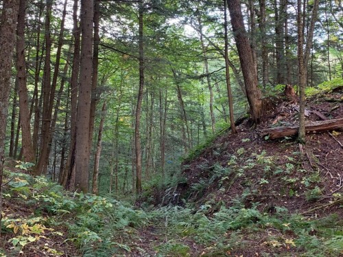 Lot - Ch. Burns, Harrington, QC 