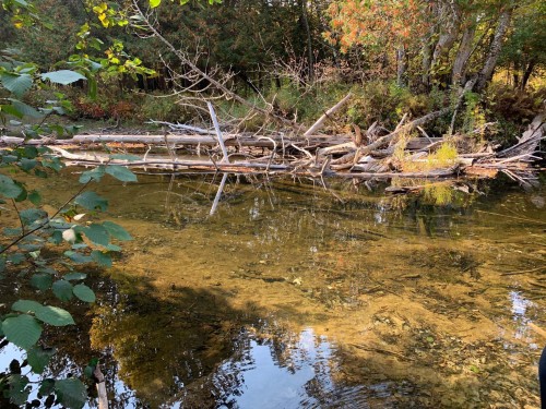 Waterfront - Ch. Burns, Harrington, QC 