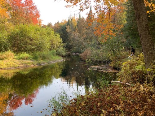 Waterfront - Ch. Burns, Harrington, QC 