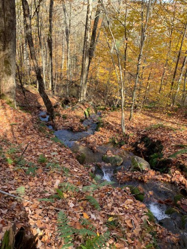 Lot - Ch. Burns, Harrington, QC 