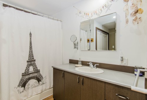 Salle de bains - 2 Ch. Préseault, Notre-Dame-Du-Laus, QC - Indoor Photo Showing Bathroom