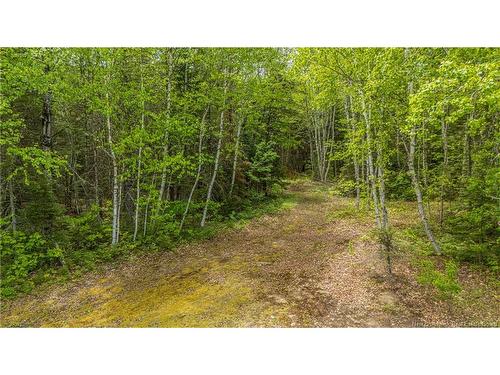 6842 Route 8, Ludlow, NB 