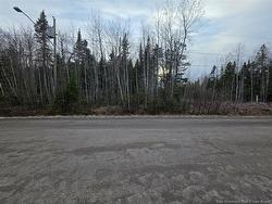 28 Deepwood AVE  Salisbury, NB E4J 2B3