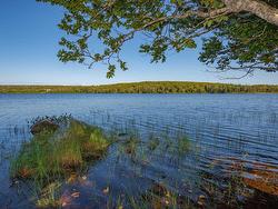 Lot, Highway 1 Port Maitland, NS B5A 5T3