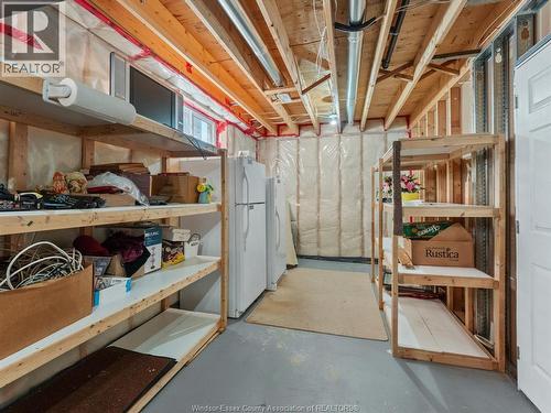 11900 Boulder, Windsor, ON - Indoor Photo Showing Basement