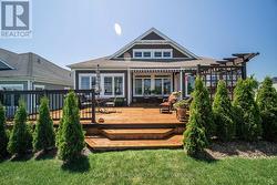 Back Yard - 