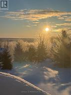 Winter Wonderland - 