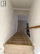 Carpeted staircase with a wood handrail and light-toned wall finishes - 