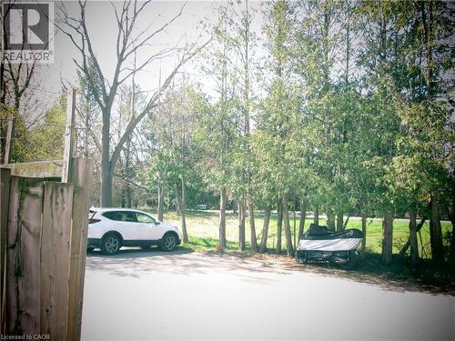 Gravel driveway with mature trees and a wood fence - 648 Francis Road, Burlington, ON - Outdoor