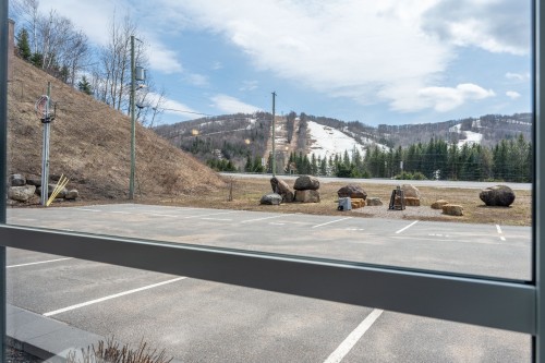 Stationnement - 881-875 Route 117, Mont-Blanc, QC - Outdoor With View