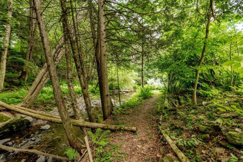 Boisé - 695 Ch. De Stanstead, Ogden, QC 