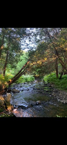 Terre/Terrain - 695 Ch. De Stanstead, Ogden, QC 