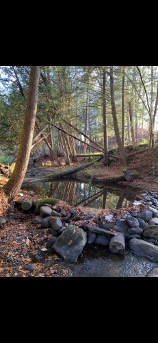 Terre/Terrain - 695 Ch. De Stanstead, Ogden, QC 