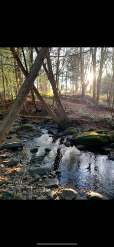 Terre/Terrain - 695 Ch. De Stanstead, Ogden, QC 