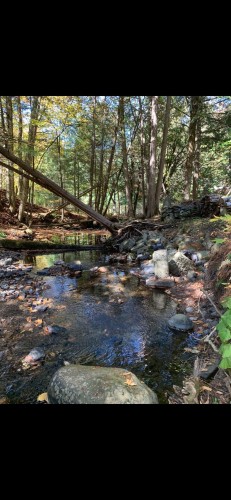 Terre/Terrain - 695 Ch. De Stanstead, Ogden, QC 