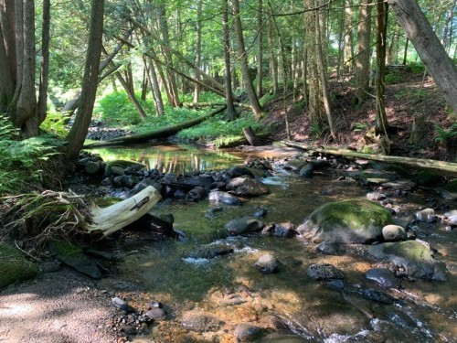 Terre/Terrain - 695 Ch. De Stanstead, Ogden, QC 