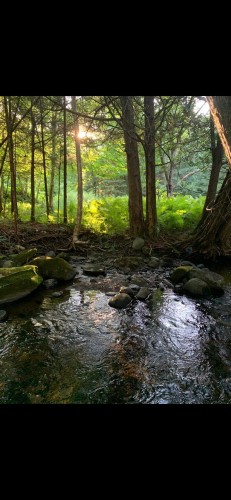 Terre/Terrain - 695 Ch. De Stanstead, Ogden, QC 