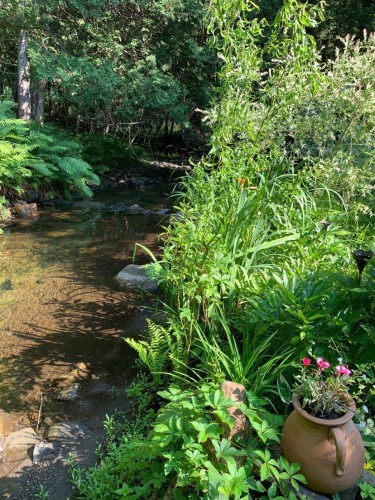 Terre/Terrain - 695 Ch. De Stanstead, Ogden, QC 