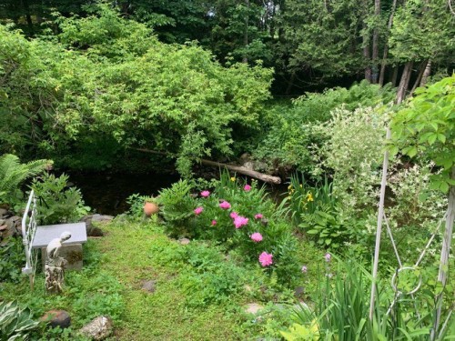 Terre/Terrain - 695 Ch. De Stanstead, Ogden, QC 