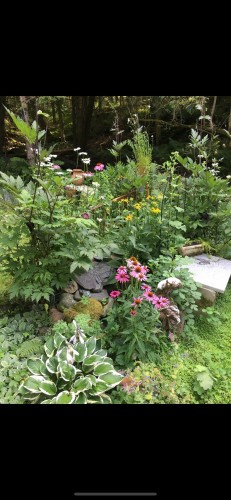 Terre/Terrain - 695 Ch. De Stanstead, Ogden, QC 