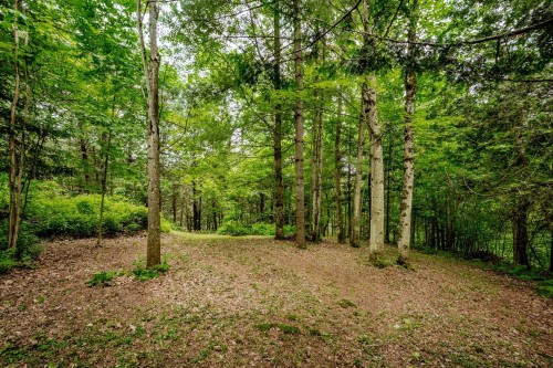 Terre/Terrain - 695 Ch. De Stanstead, Ogden, QC 