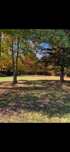 Terre/Terrain - 695 Ch. De Stanstead, Ogden, QC 