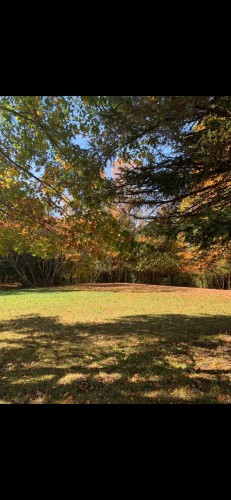 Terre/Terrain - 695 Ch. De Stanstead, Ogden, QC 