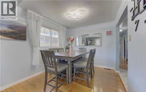 Dining area featuring wood-finish flooring and a contemporary circular light fixture - 170 Martinglen Crescent, Kitchener, ON - Indoor Photo Showing Dining Room