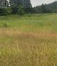 76B Island Drive, Summerford, NL 