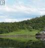 76B Island Drive, Summerford, NL 
