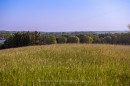Ptlt 18 7Th Line N/A, Mono, ON 