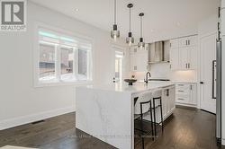 Showstopping Gourmet Kitchen w/Quartz Countertops - 