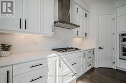 Quartz Countertops and High-End S/S Appliances - 