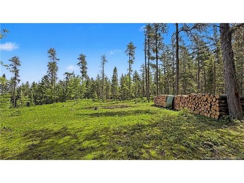 194 Meadow Brook Rd, Cains River, NB 