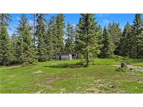 194 Meadow Brook Rd, Cains River, NB 