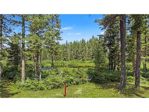 194 Meadow Brook Rd, Cains River, NB 