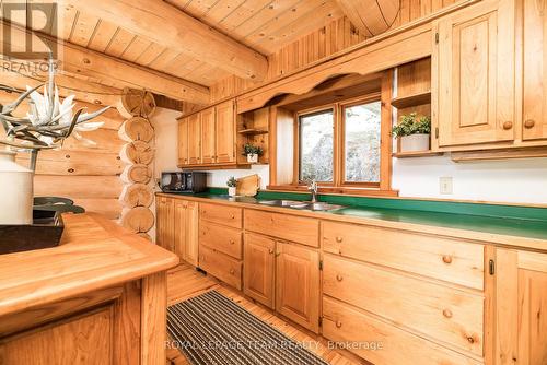 781 Big Rideau North Shore Road, Tay Valley, ON - Indoor Photo Showing Kitchen