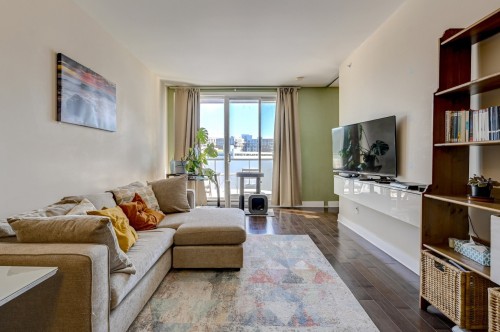 Living Room - 