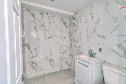 Salle de bains - 1-1630 Rue De Salaberry, Montréal (Ahuntsic-Cartierville), QC - Indoor Photo Showing Bathroom